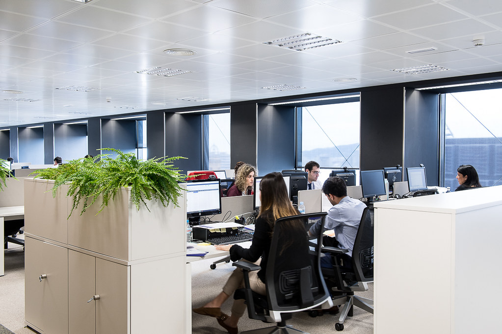 control de plagas de oficinas en madrid